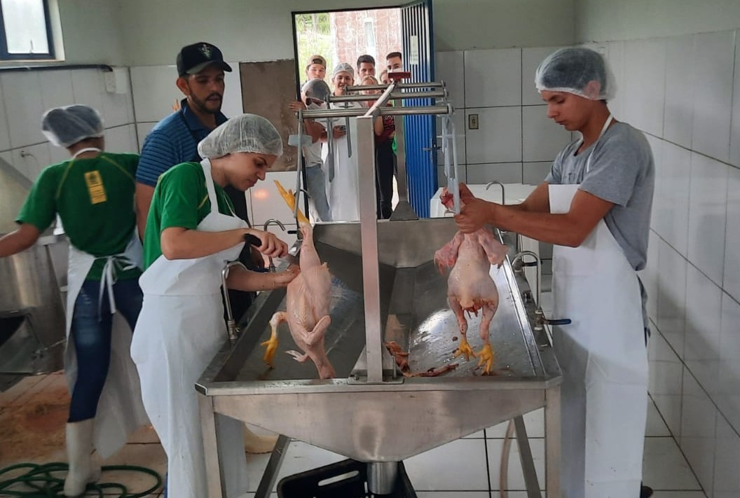 Alunos da escola agrícola de Amambai tiveram oficina de abate e inspeção de aves