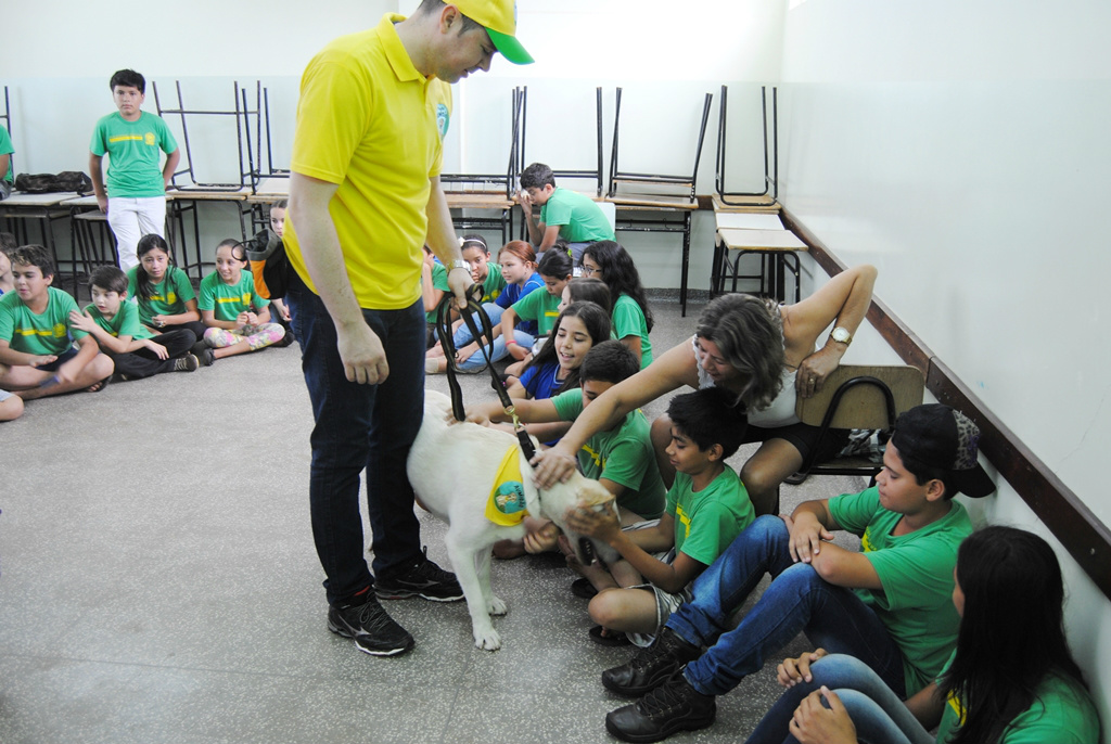 Lilico, o cão “Aumigão”, visita alunos da escola Felipe de Brum Aumigão Lilico é um projeto filantrópico e sem fins lucrativos que tem por finalidade realizar a Terapia Assistida por Animais (TAA).