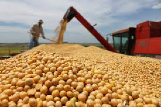Brasil tem projeção de nova safra recorde, com 213 milhões de toneladas de grãos