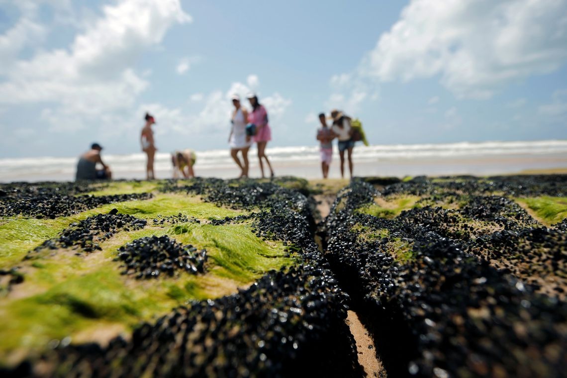 Governo publica guia para voluntários que atuam em praias do Nordeste REUTERS / Adriano Machado/Direitos Reservados