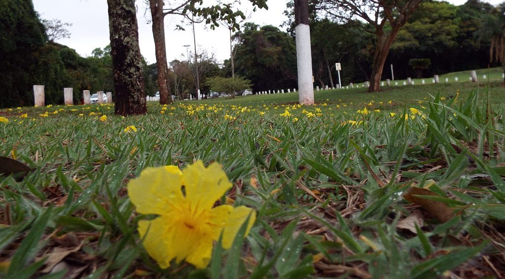 Sábado de tempo parcialmente nublado e calor no Estado Sábado de tempo parcialmente nublado e calor no Estado