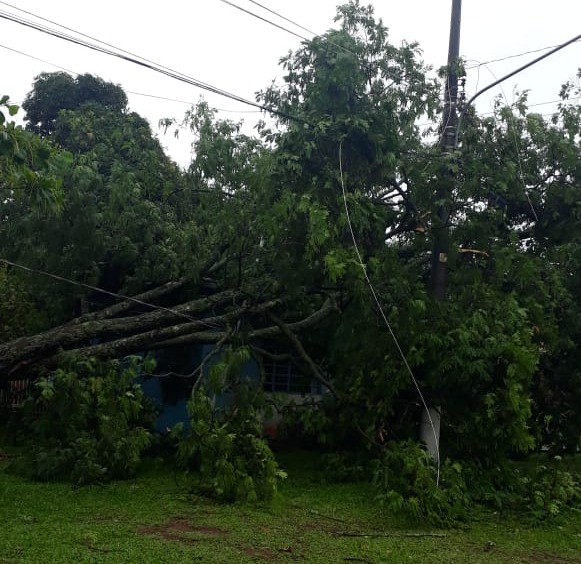 Chuva e fortes ventos destelham casas e derrubam árvores em Amambai Foto: Divulgação