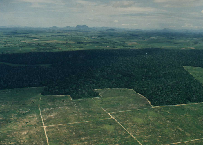 Fragmentação florestal leva a maiores taxas de extinção Fragmentação florestal leva a maiores taxas de extinção