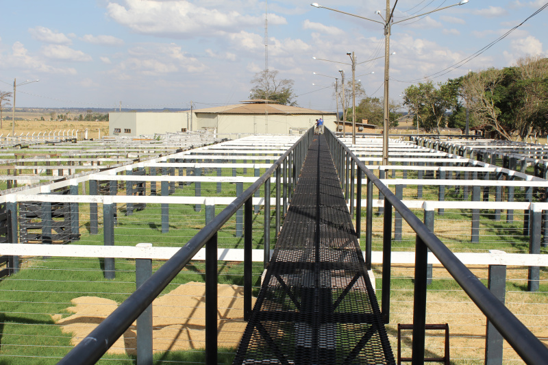 Passarela para leilões será novidade na 25ª Expobai Passarela trará mais comodidade para os compradores durante os Leilões. Foto: Luiz Claudio Ferreira
