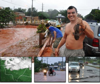 Córregos transbordam em Campo Grande e peixes vão parar no asfalto na região central