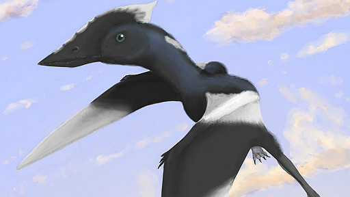 Nova espécie de dinossauro leva nome de menina que achou fóssil