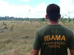 PF e Ibama fazem operação contra crimes ambientais na Amazônia
