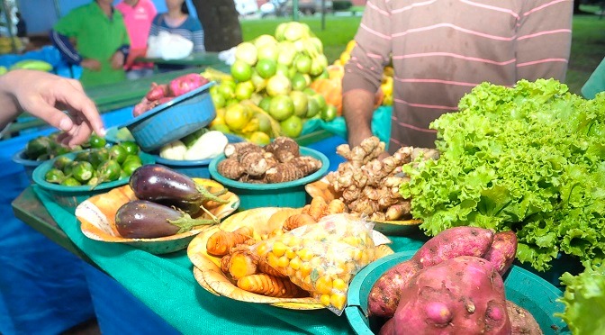 Incentivo ao consumo de orgânicos está entre os assuntos do “MS no Campo” Foto: Divulgação