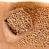 Estimativas de safra de soja do Brasil apontam colheita perto de recorde