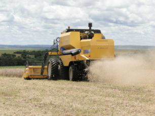 Mercosul vai alimentar o mundo em 2050, indica estudo