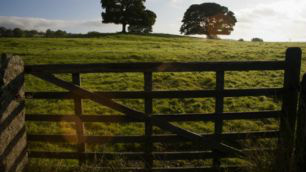 Prazo para entrega do ITR começa nesta segunda
