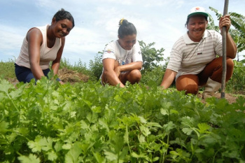 As mulheres na agricultura As mulheres na agricultura