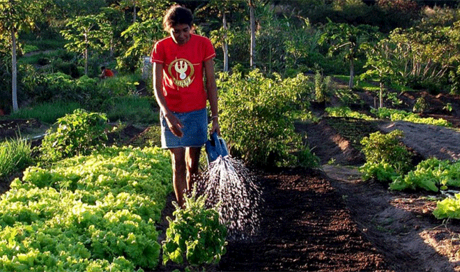 Segundo a FAO, trabalhadoras rurais são invisíveis e desamparadas pelo poder público