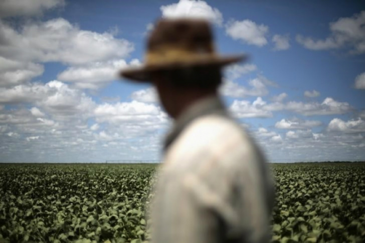 Momento é bom para produtor de soja buscar proteção cambial Momento é bom para produtor de soja buscar proteção cambial