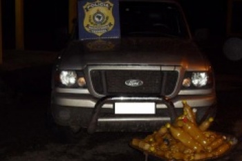 Mulher transportava quase 50 quilos de cocaína
