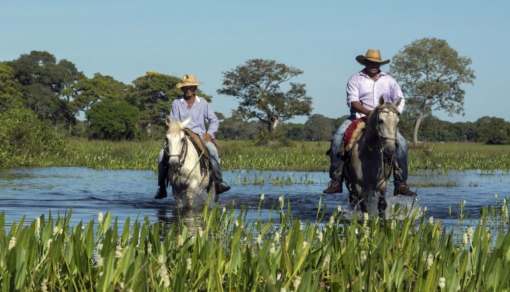 Nas cavalgadas, que podem ser feitas de dia ou à noite, o turista pode vivenciar um pouco da cultura do homem pantaneiro / Foto: Divulgação