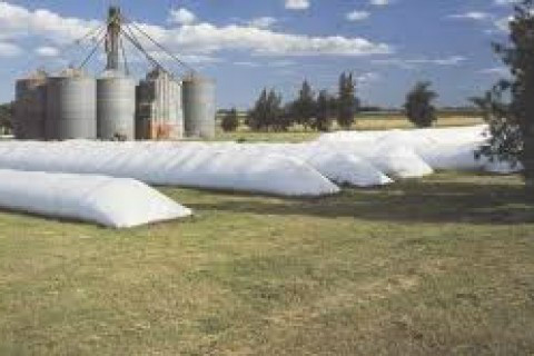 Uso de silos bolsa cresce no Brasil com agricultor buscando maiores lucros Foto: Agromeat