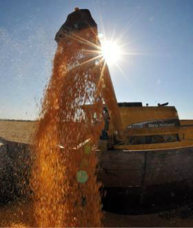 Foto: Valdenir Rezende/ArquivoIsenção de ICMS de exportações de produtos, como o milho, afeta arrecadação de MS