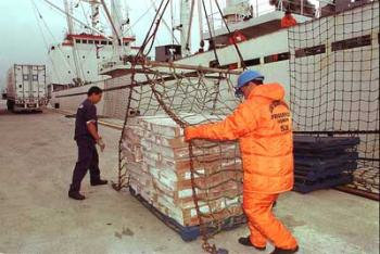 Exportação de frango brasileiro para China cresceu 480% em 2010