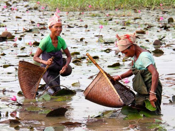 Mulheres são mais vulneráveis às mudanças climáticas