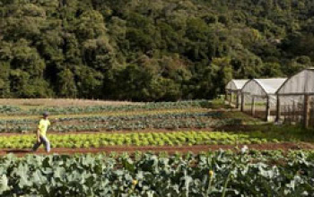 Gestores podem participar de cursos sobre o Cadastro Ambiental Rural Gestores podem participar de cursos sobre o Cadastro Ambiental Rural