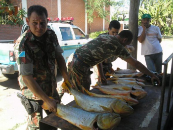 PMA apreende 441 quilos de pescado na Operação Carnaval