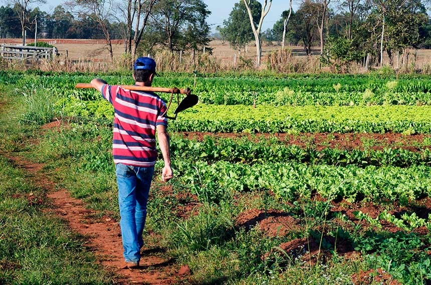 Dívidas de produtores rurais podem ser renegociadas até 31 de dezembro Divulgação.
