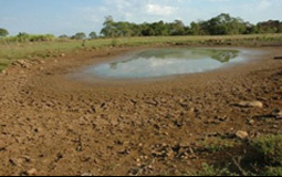 Desmatamento na Amazônia aumenta as chuvas no Sudeste e a seca no Nordeste