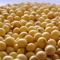 Safra 2017/18 deve ter recuo de 4,1% na produção de grãos Foto: Divulgação