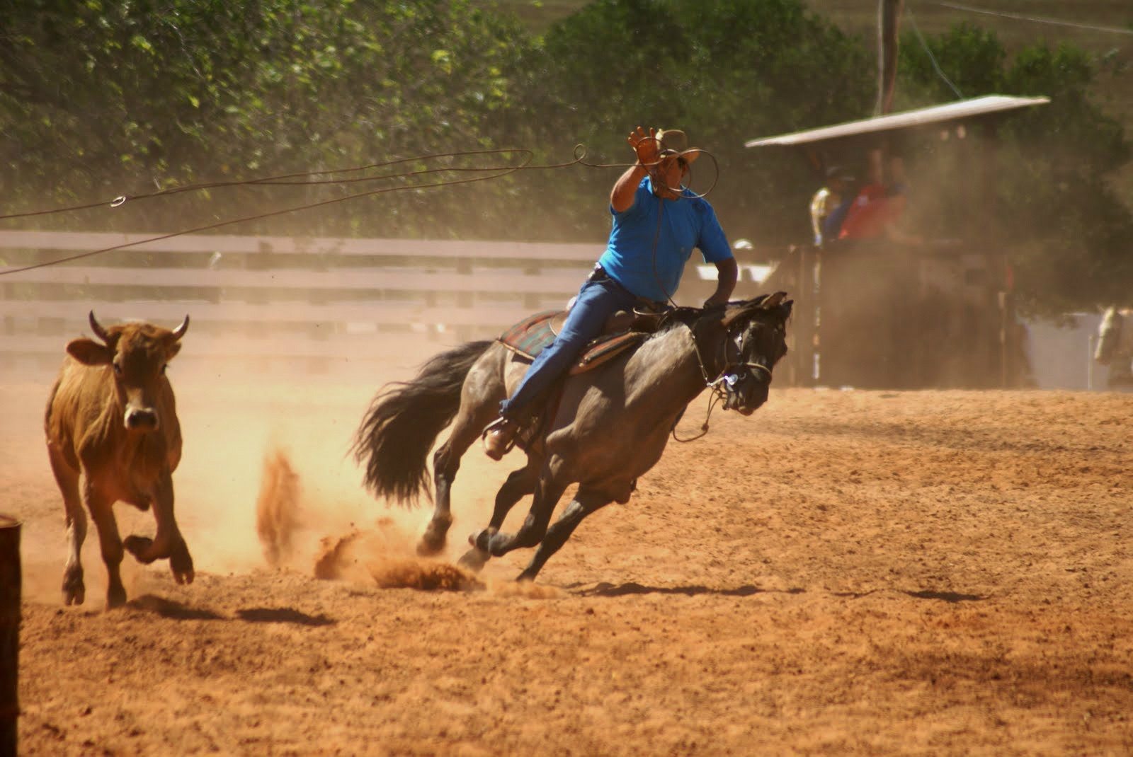 Iagro não autoriza Festa do Laço em Amambai; shows acontecem Cerca de 100 equipes e laçadores estavam sendo esperadas em Amambai.
