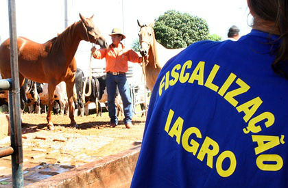 Iagro não autoriza Festa do Laço em Amambai; shows acontecem A partir do dia 30 de abril de 2015, é obrigatória no Estado de Mato Grosso do Sul para emissão de GTA a apresentação do exame negativo de Mormo e AIE.