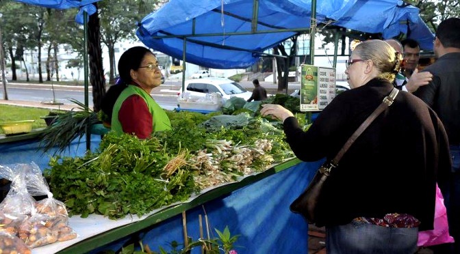 Práticas ecológicas são difundidas através do cultivo de produtos orgânicos Foto: Divulgação