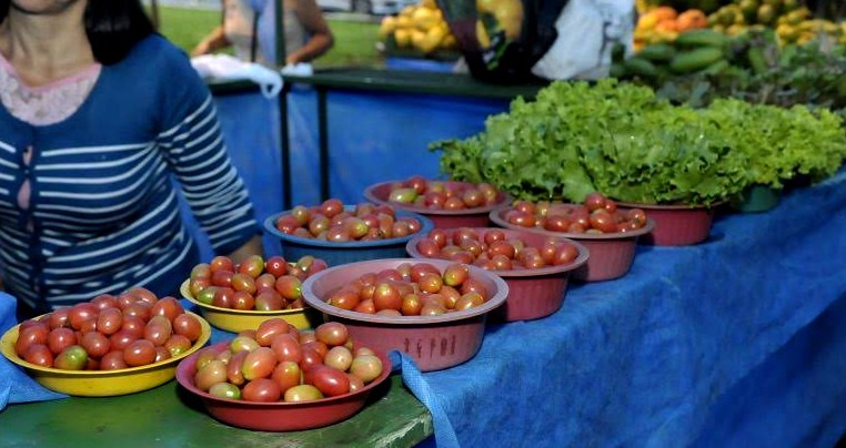 Práticas ecológicas são difundidas através do cultivo de produtos orgânicos A Agraer há algum tempo implantou em suas atividades o eixo de agroecologia para fomentar o sistema de cultivo diferenciado / Foto: Divulgação