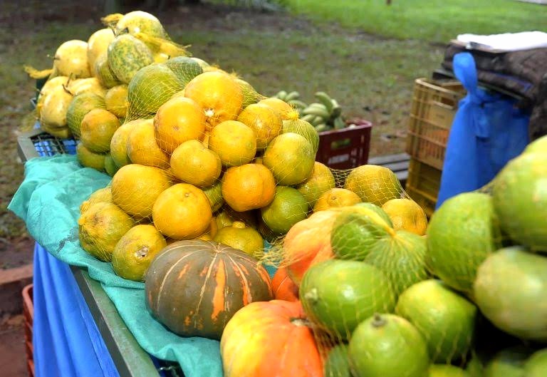 Práticas ecológicas são difundidas através do cultivo de produtos orgânicos Em Campo Grande existem cinco pontos públicos de vendas de produtos orgânicos – às quartas-feiras ou sábados / Foto: Divulgação