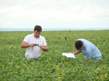 Chuvas causam danos que podem chegar a R$ 1,5 bilhão na safra da soja de MS