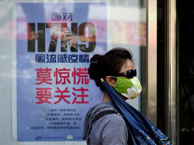 Pesquisadores chineses descobrem vírus da gripe aviária