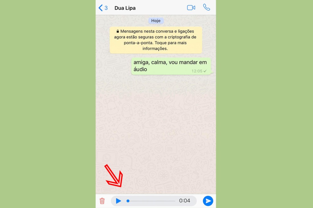 Agora o Whatsapp deixa salva sua mensagem de áudio interrompida Caso você seja interrompida, quando voltar, a tela deve ficar desta forma. (Reprodução/Whatsapp)