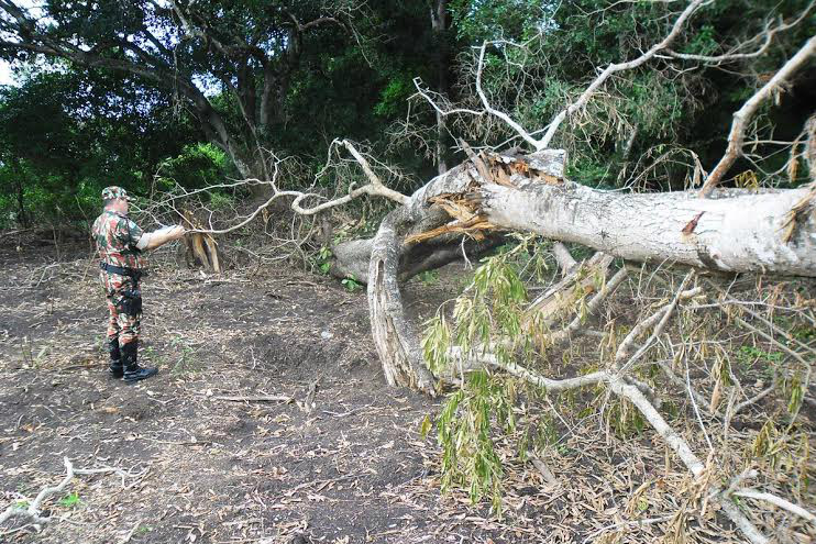 PMA autua em R$ 5 mil campo-grandense que construía condomínio em área protegida