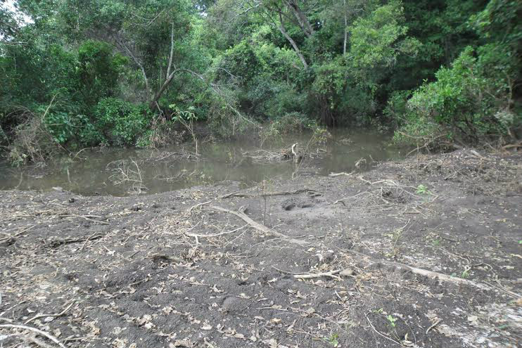 PMA autua em R$ 5 mil campo-grandense que construía condomínio em área protegida