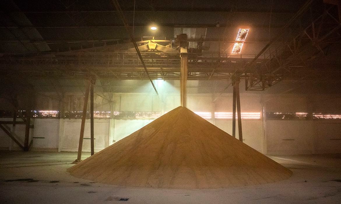 Ipea prevê cenário positivo para a produção agrícola em 2022 Foto: Agência Brasil