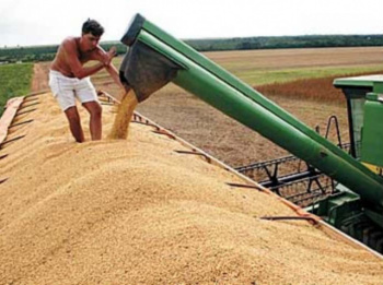 Com excesso de chuvas, MS já perdeu cerca de 30% da safra de soja