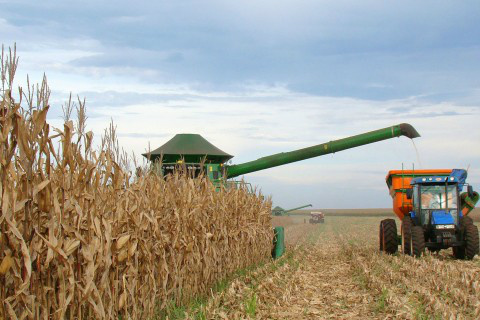 Foto: Assessoria de Imprensa Sistema Famasul
