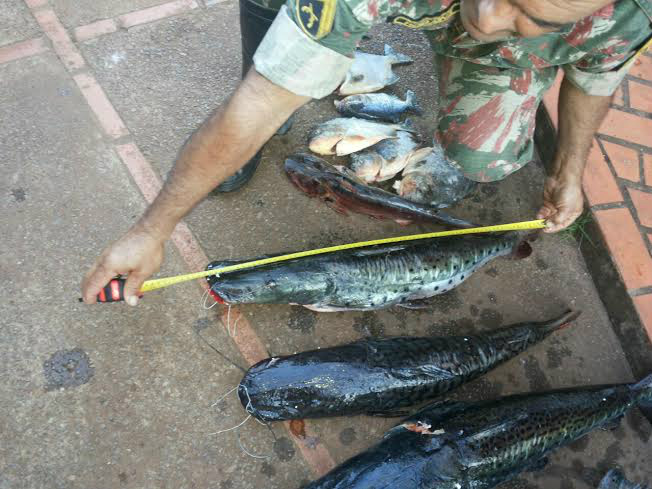 PMA prende três paranaenses por pesca predatória com 44 kg de pescado ilegal