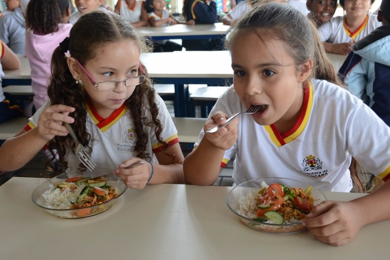 FNDE libera R$ 406 milhões para alimentação e transporte escolar Alunos de toda a educação básica matriculados em escolas públicas e filantrópicas são atendidos pelo PnaeFoto: Divulgação