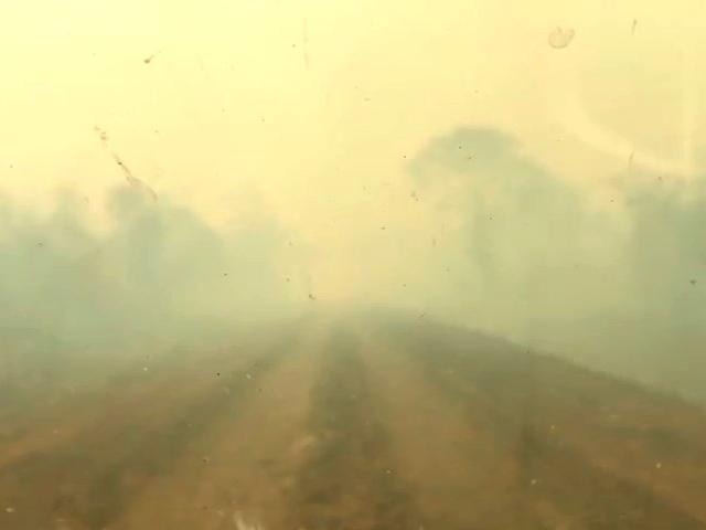 Fazendeiros relatam “Inferno de Dante” na região do Rio Miranda Fumaça toma vicinal na região do Rio Miranda. (Foto: Direto das Ruas)