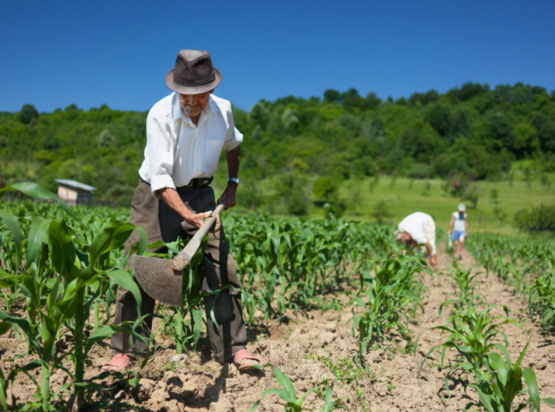 Dos 234 lotes que serão sorteados, 174 unidades correspondem aos agricultores familiares vinculados à associação São Francisco. Os 59 lotes restantes serão direcionados as famílias da associação São BentoFoto: Ilustrativa