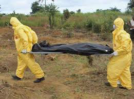 Ebola: número de mortes atinge 5.689 em 15.935 casos, diz OMS