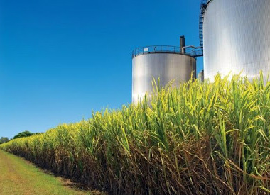 Setor sucroenergético deve contratar quase 300 trabalhadores por ano em MS O setor sucroenergético de MS deve contratar 297 novos colaboradores por ano entre 2014 e 2015