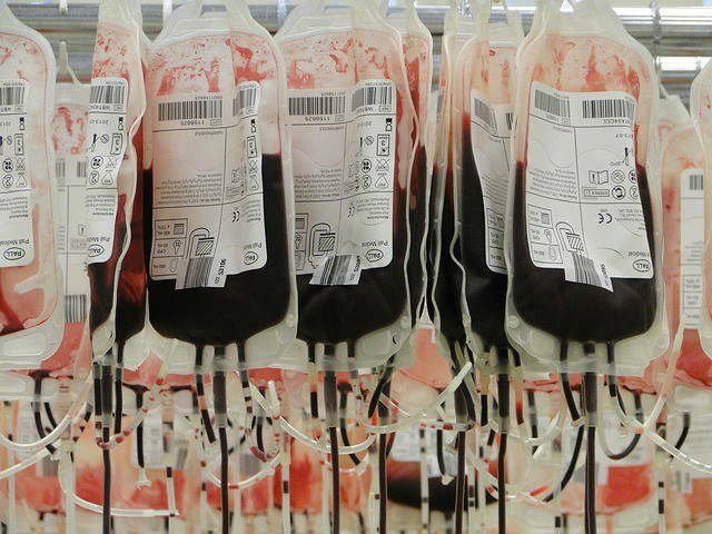 Cientistas querem fazer dos grupos sanguíneos A e B doadores universais