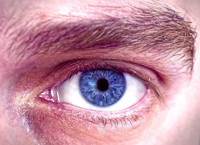 Cientistas identificam mutação que deu origem ao surgimento dos olhos azuis